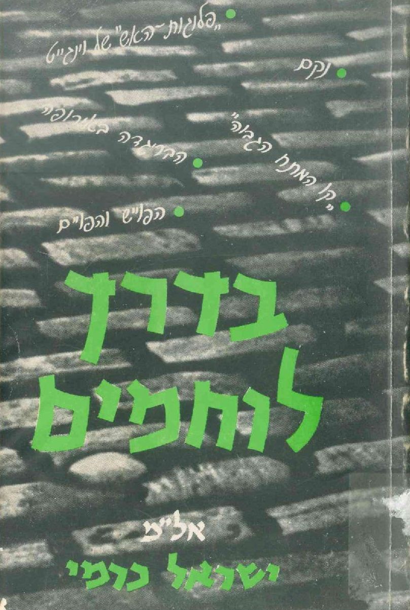 בדרך לוחמים, אל"מ ישראל כרמי, 1976, 330 עמודים